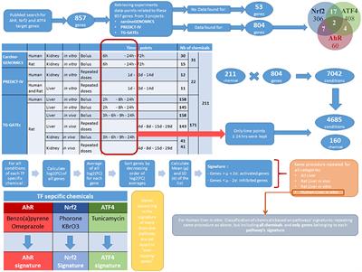 Investigation of Nrf2, AhR and ATF4 Activation in Toxicogenomic Databases